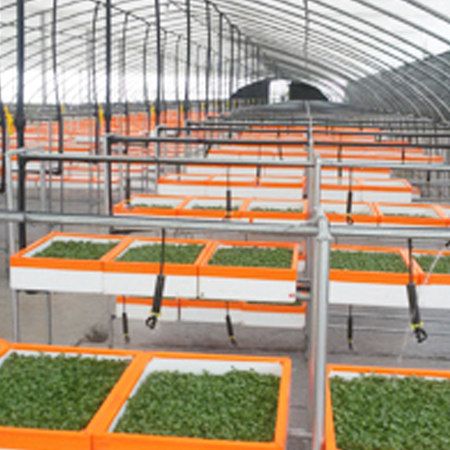 泰安市藍(lán)天助劑有限公司