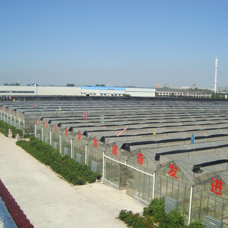 泰安市藍(lán)天助劑有限公司